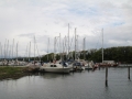 IMG_7641 (Kopie)