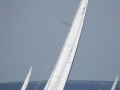 P5030352
