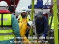 03_03-P1050854