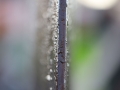 4859B7B1-D8BD-4AE7-857E-18907CD610C5