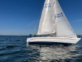 IMG_3225