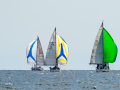 NZ6_Race17