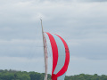 DSC_1877