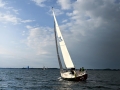 IRK_3126