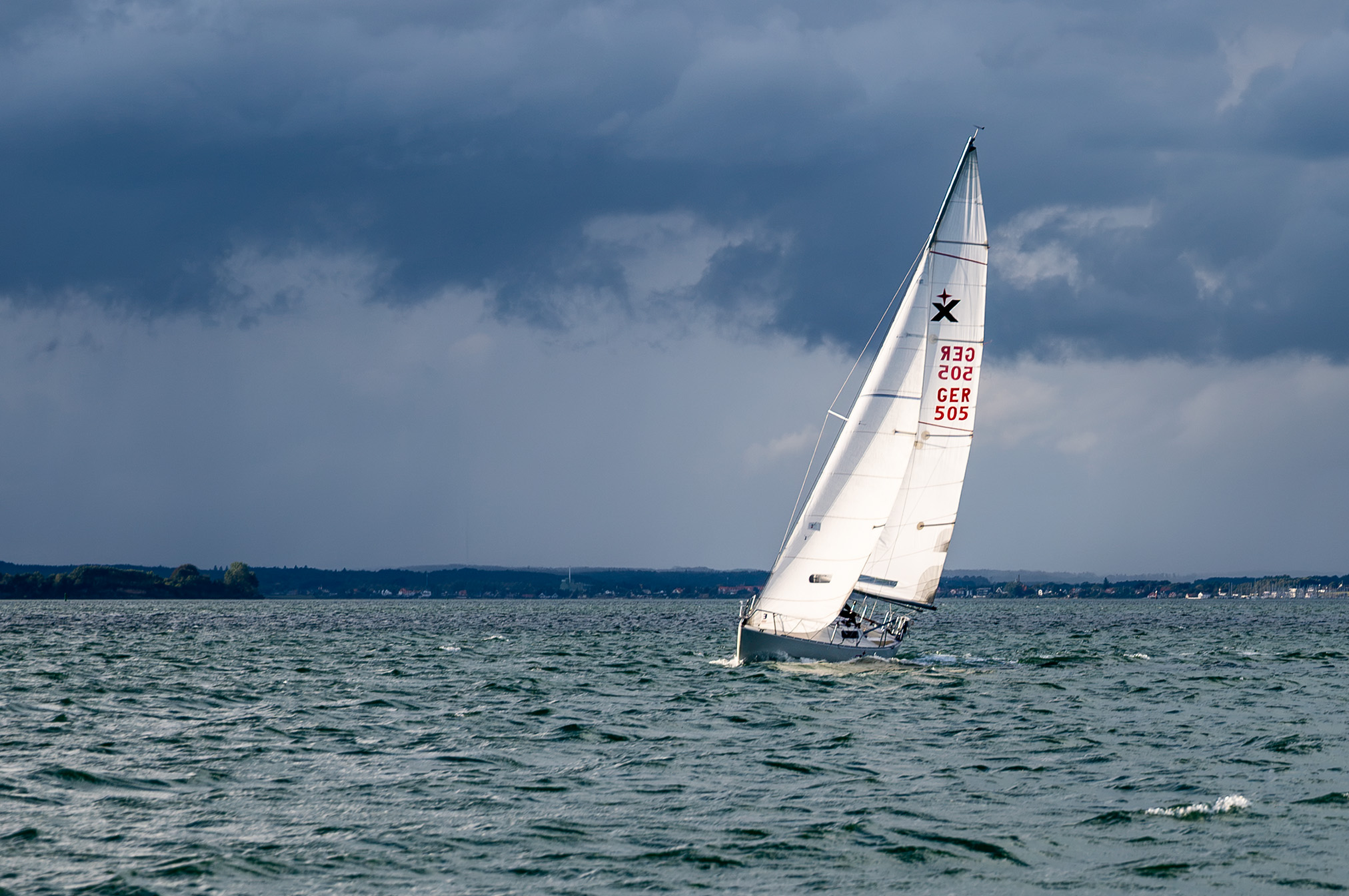 NZ6_1398