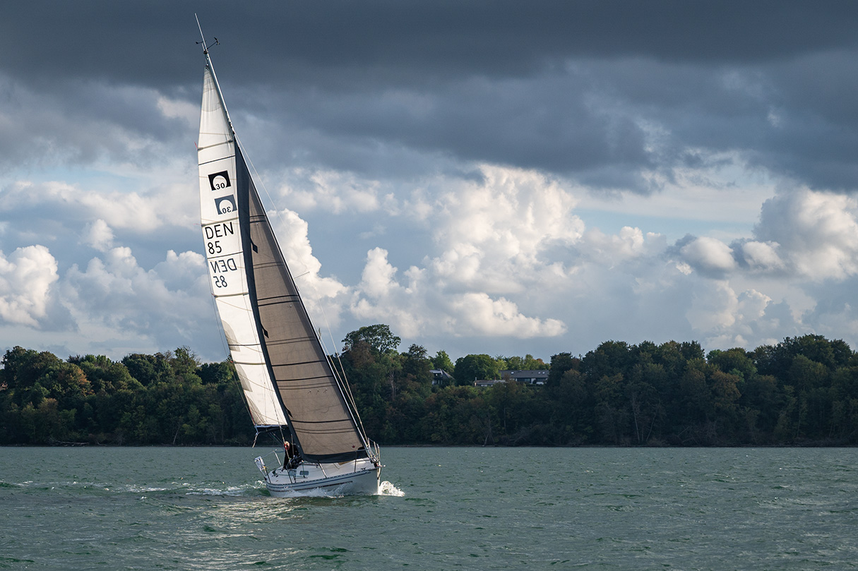 NZ6_1441