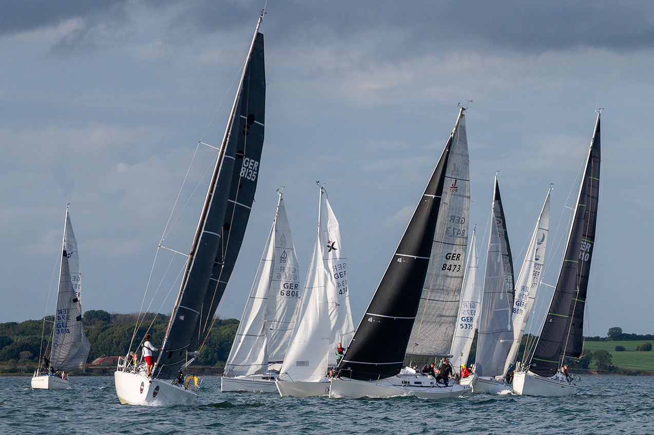 NZ6_1561
