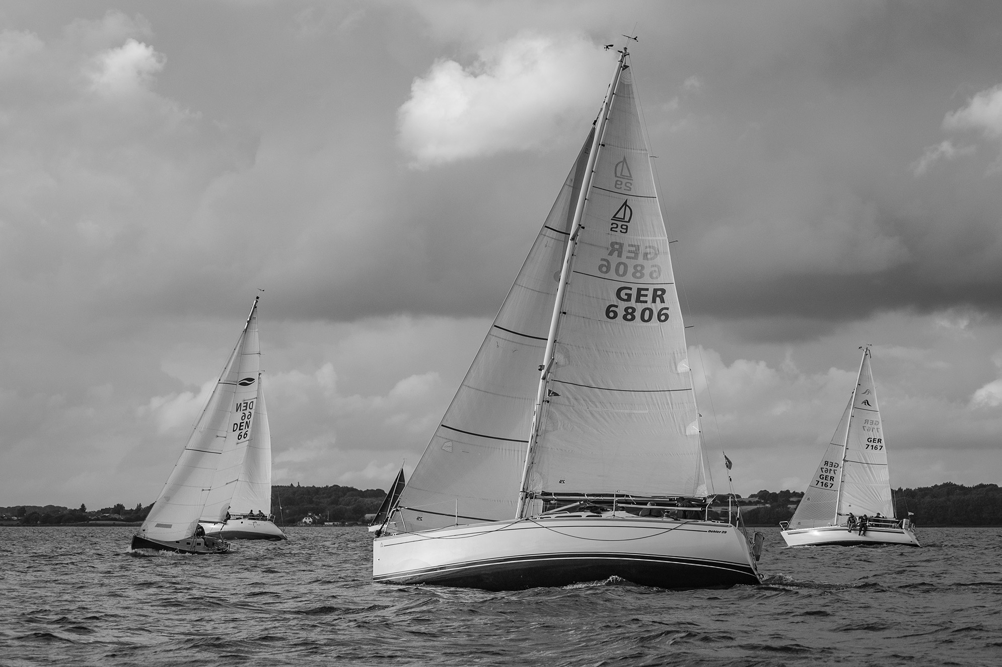 NZ6_1647