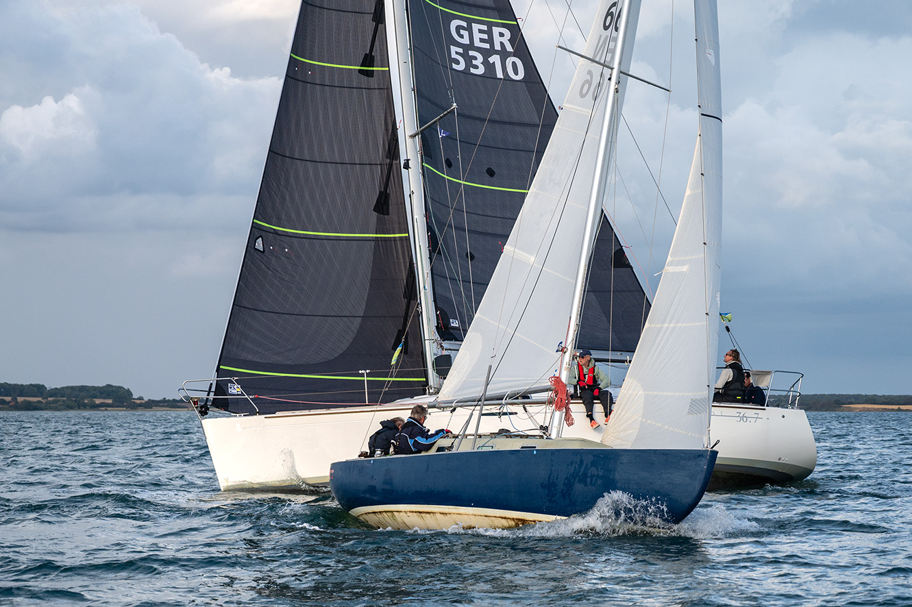 NZ6_1666