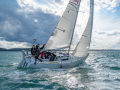 NZ6_1377