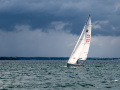NZ6_1398