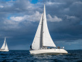 NZ6_1555