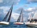 NZ6_1575