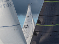 NZ6_15882