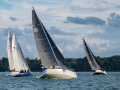 NZ6_1597