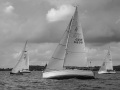 NZ6_1647
