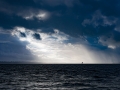 IRK_5655