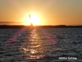 16-Regatta-Aug-31