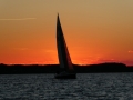 38-Regatta-Aug-31